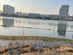 -尚贤河湿地