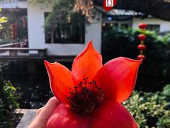 -广州兰圃