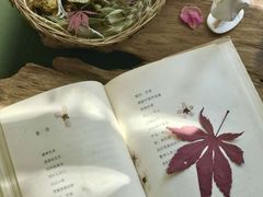 -知物癖(牛王庙店)