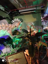 -恐龙探索乐园(磁器口店)