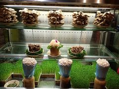 活体菌菇-蜀大侠火锅(四川北路店)