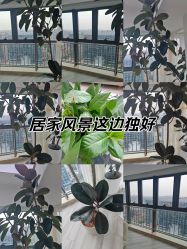 -HEYAN荷妍专业脱毛连锁机构