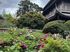-龙华寺