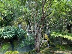 -Chom Cafe and Restaurant