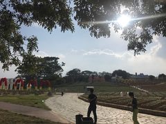 -松山湖梦幻百花洲