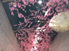 -超级物种·波龙工坊(国贸店)