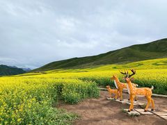 -扁都口生态休闲旅游区
