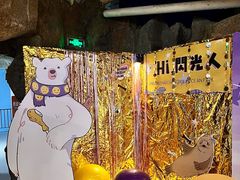 -海合安青岛极地海洋公园