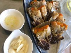 -渔娘渔家丹东海鲜(东直门店)