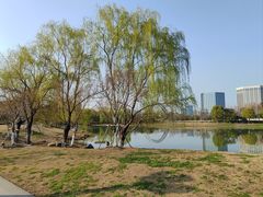 -澹台湖公园
