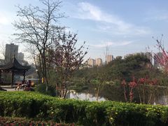 -重庆彩云湖湿地公园