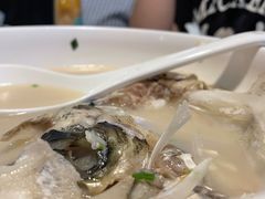 -云中小雅