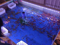 -汤连得温泉馆(宝山店)