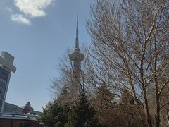 -龙塔