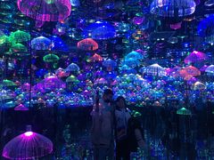 -天津梵高星空艺术馆(天河城旗舰店)