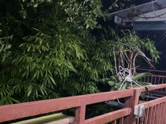 -万兴启丰椰子文化园餐厅