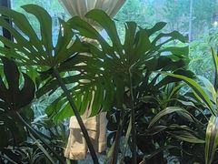 -太守宴·蘭院(天塔店)