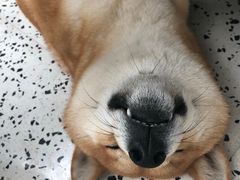 -恒康宠物医院(司背后街店)