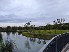-新江湾城公园