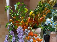 -BEAST野兽派(上海浦东嘉里城店)