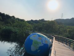 -西湖风景区-江洋畈生态公园