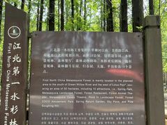 -日照海滨国家森林公园