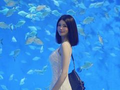 -合肥海洋世界