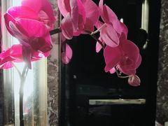 -广州四季酒店