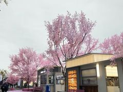 -首开·龙湖成都西宸天街