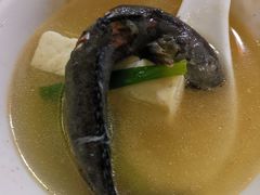 跳跳鱼豆腐汤-大厝宅海鲜馆