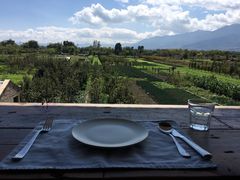 -翠田Green Field Kitchen
