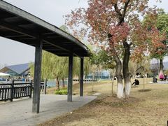 -上海长兴岛郊野公园