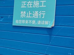 -上海山野camping·户外天幕烧烤·团建拓展营地