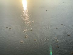 -清溪水库