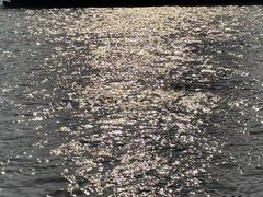 -陆家嘴世纪金融广场