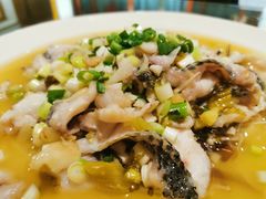 -飞虹鱼馆(春华路店)