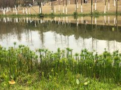 -东莞植物园