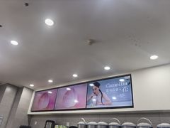 -雾与山茶(大禹城店)