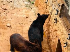 -昆明动物园