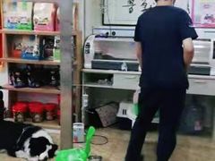 -A猫a狗全科·犬猫异宠·芥西宠物医院(南开总院)