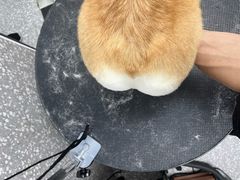 -宠物家(角门东店)