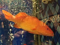 -陶陶居·雅园(凯华国际店)