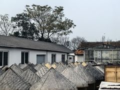 -苏州市吴中区光福窑上花果蜜饯厂