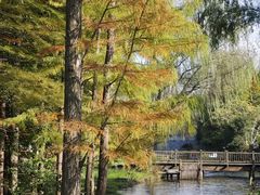 -溱湖国家湿地公园