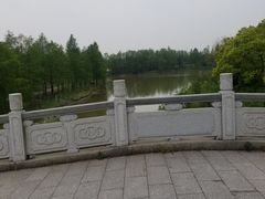 -上海海湾国家森林公园