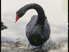 -西山漾湿地公园