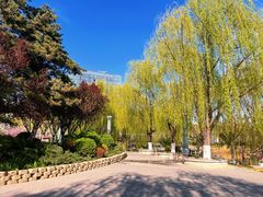 -大兴滨河森林公园