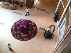 -深圳星河丽思卡尔顿酒店