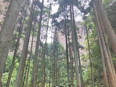 -雁荡山风景名胜区