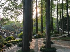 -上海醉白池公园